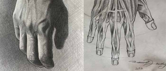 Anatomy Drawings by Roossevelt