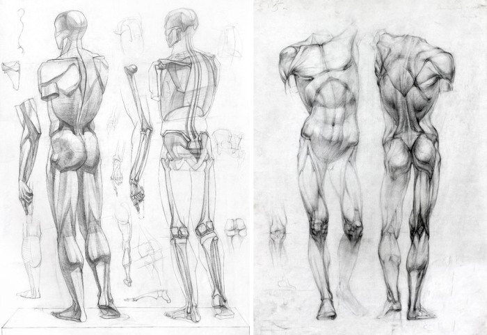 How to draw models from life